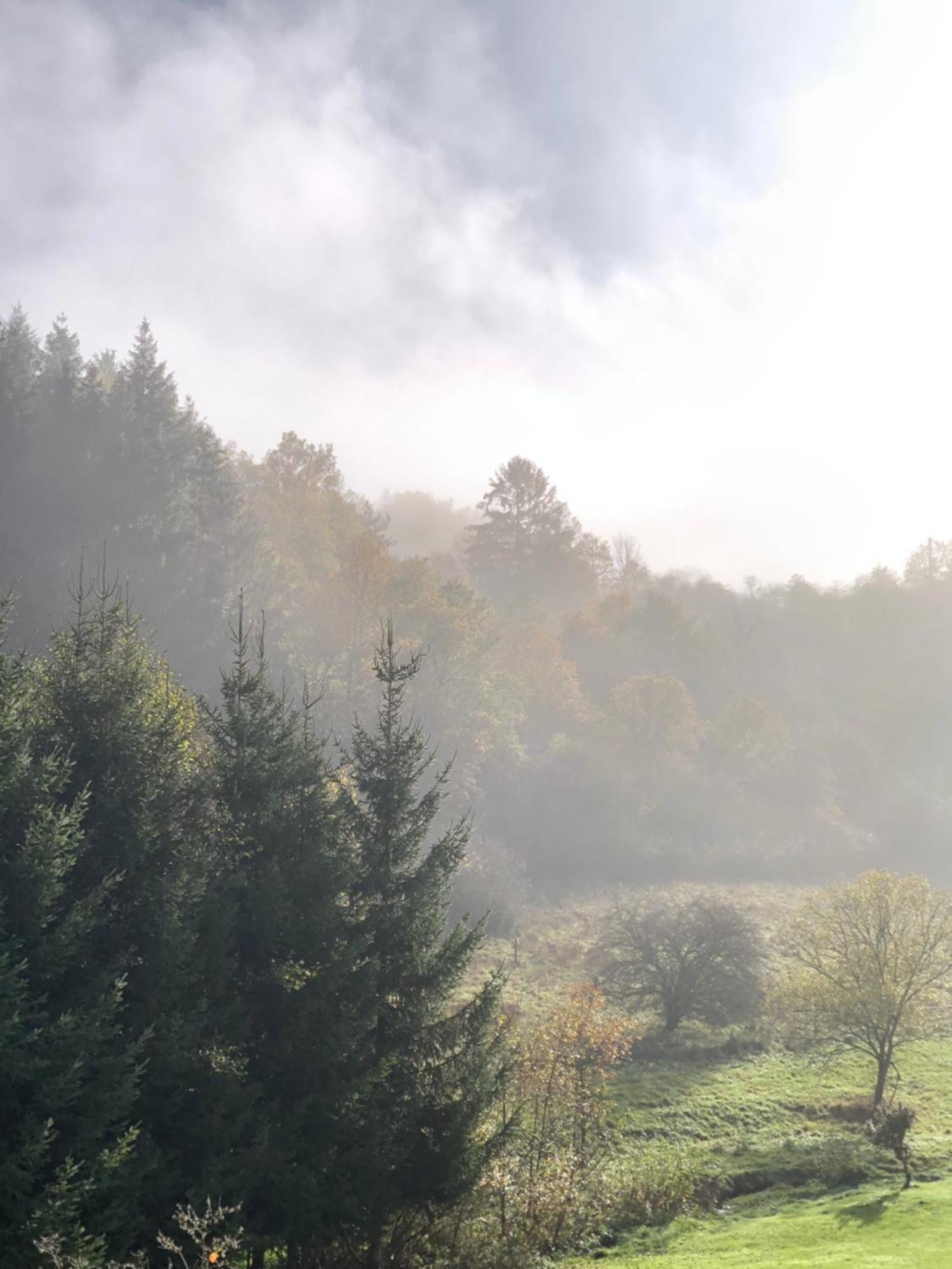 House With A View - Modernes Ferienhaus In Der Eifel Villa Antweiler ภายนอก รูปภาพ